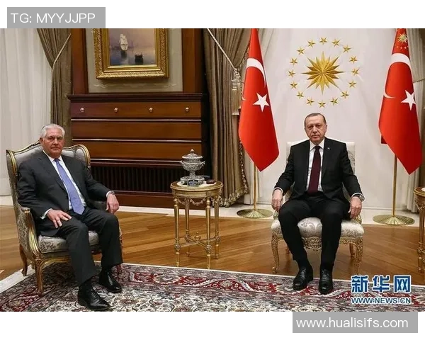 法国与土耳其最新动态分析及两国关系发展趋势探讨